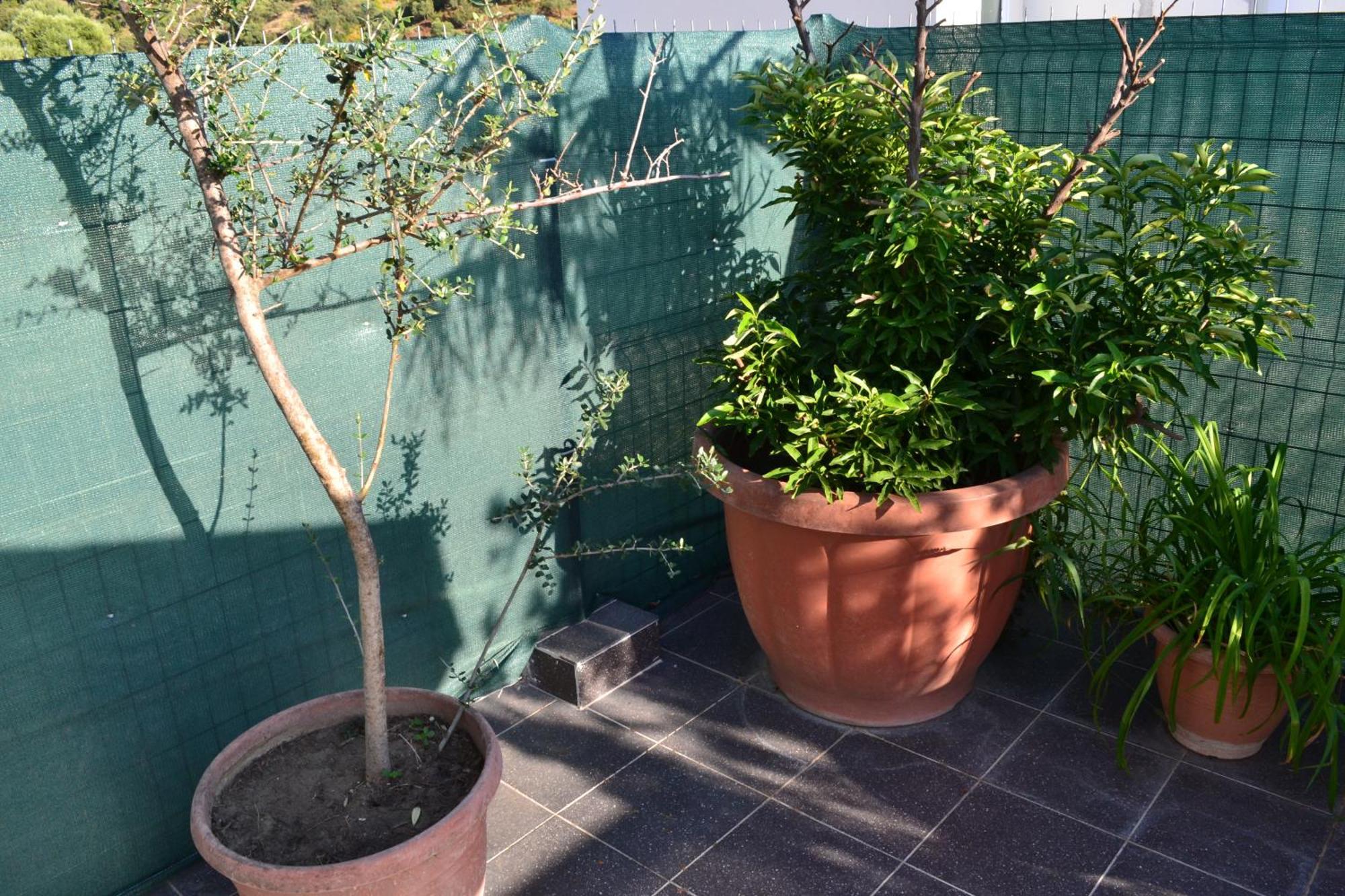 Seaview Penthouse Terrace & Garage Apartment Vlore Ngoại thất bức ảnh